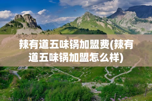 辣有道五味锅加盟费(辣有道五味锅加盟怎么样)