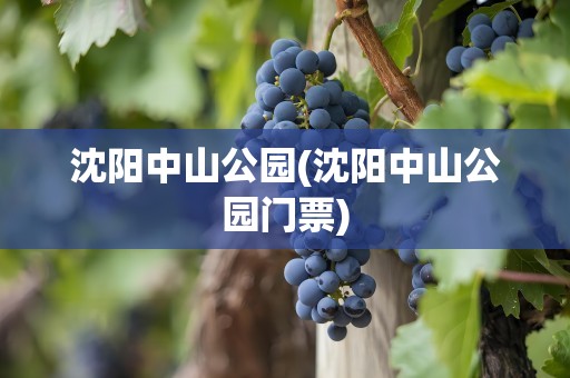 沈阳中山公园(沈阳中山公园门票)