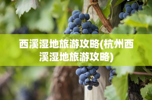 西溪湿地旅游攻略(杭州西溪湿地旅游攻略)