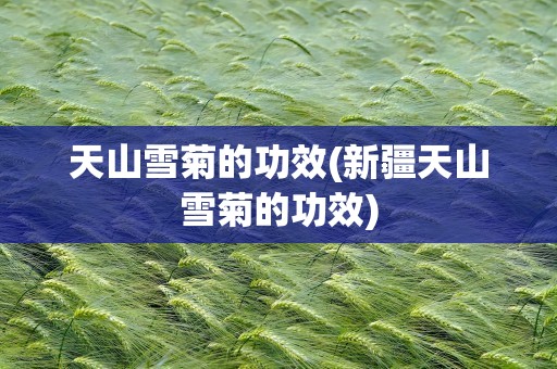 天山雪菊的功效(新疆天山雪菊的功效)