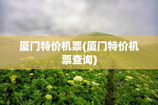 厦门特价机票(厦门特价机票查询)