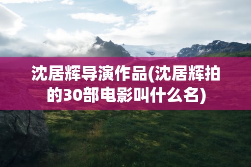沈居辉导演作品(沈居辉拍的30部电影叫什么名)