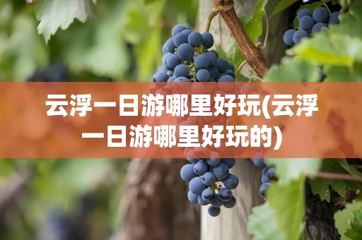 云浮一日游哪里好玩(云浮一日游哪里好玩的)