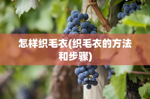 怎样织毛衣(织毛衣的方法和步骤)