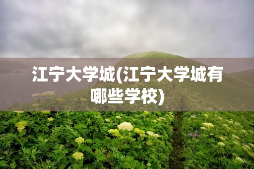 江宁大学城(江宁大学城有哪些学校)