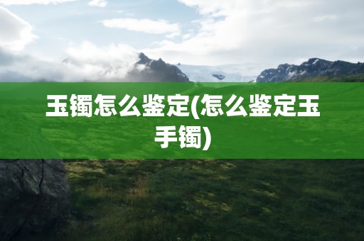 玉镯怎么鉴定(怎么鉴定玉手镯)