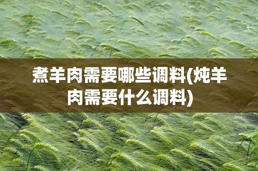 煮羊肉需要哪些调料(炖羊肉需要什么调料)