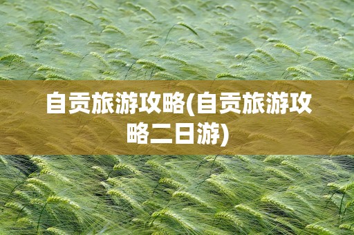 自贡旅游攻略(自贡旅游攻略二日游)
