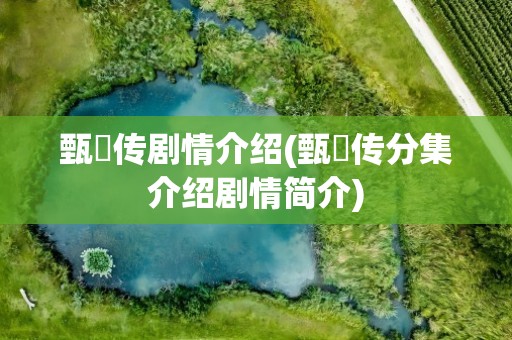 甄嬛传剧情介绍(甄嬛传分集介绍剧情简介)