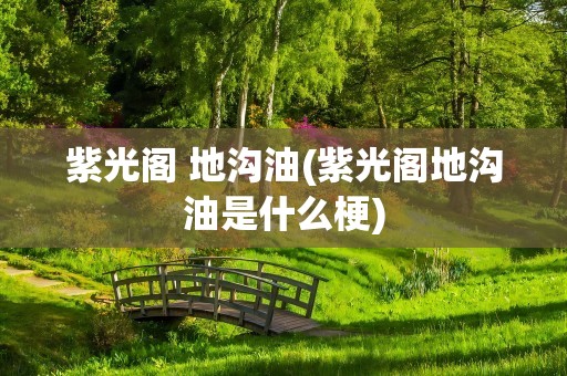 紫光阁 地沟油(紫光阁地沟油是什么梗)