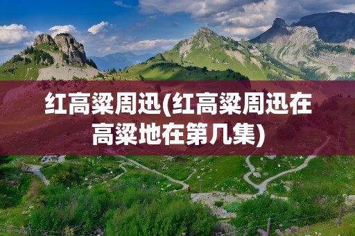 红高粱周迅(红高粱周迅在高粱地在第几集)