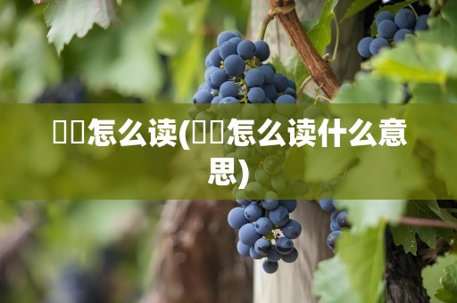 騳骉怎么读(騳骉怎么读什么意思)
