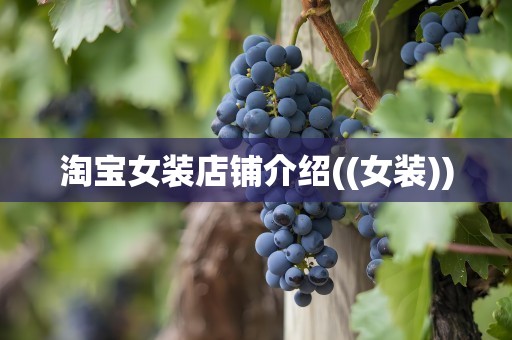 淘宝女装店铺介绍((女装))