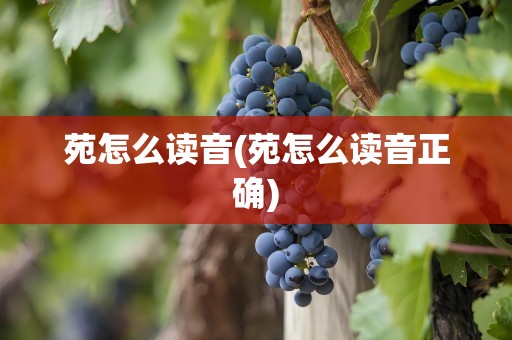苑怎么读音(苑怎么读音正确)