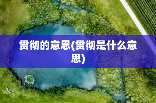 贯彻的意思(贯彻是什么意思)
