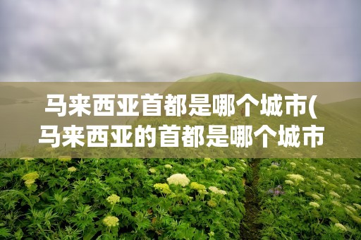 马来西亚首都是哪个城市(马来西亚的首都是哪个城市)