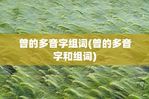 曾的多音字组词(曾的多音字和组词)