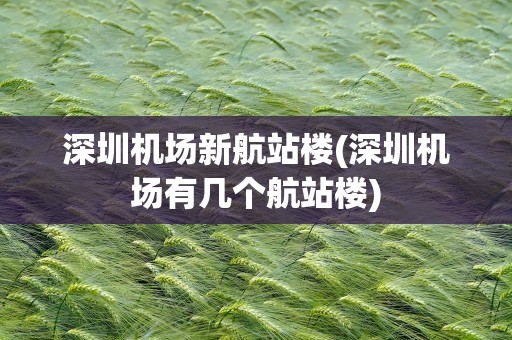 深圳机场新航站楼(深圳机场有几个航站楼)