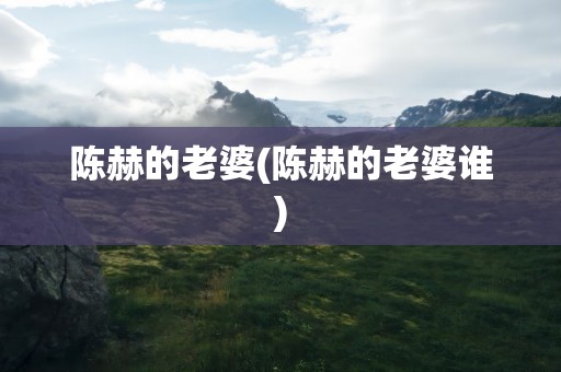 陈赫的老婆(陈赫的老婆谁)