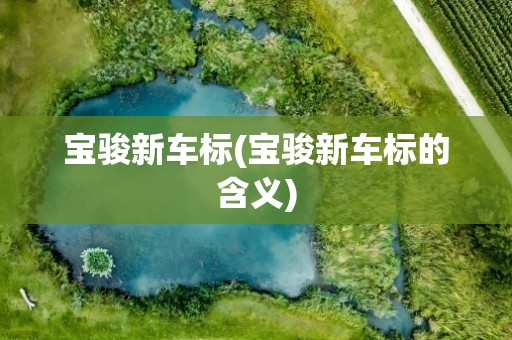 宝骏新车标(宝骏新车标的含义)