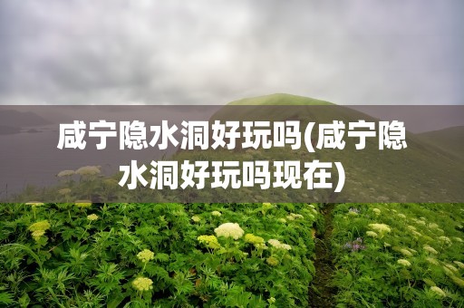 咸宁隐水洞好玩吗(咸宁隐水洞好玩吗现在)