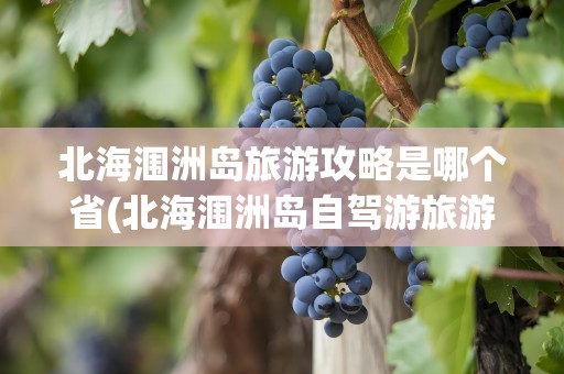 北海涠洲岛旅游攻略是哪个省(北海涠洲岛自驾游旅游攻略)
