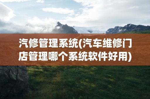汽修管理系统(汽车维修门店管理哪个系统软件好用)