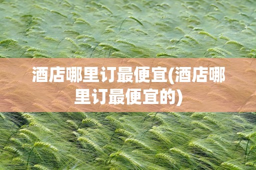 酒店哪里订最便宜(酒店哪里订最便宜的)