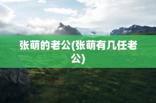 张萌的老公(张萌有几任老公)