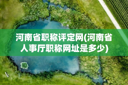 河南省职称评定网(河南省人事厅职称网址是多少)
