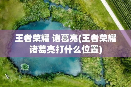 王者荣耀 诸葛亮(王者荣耀诸葛亮打什么位置)