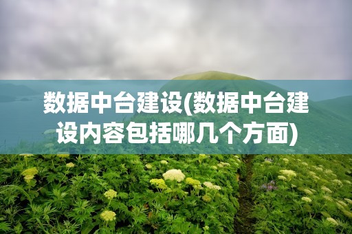 数据中台建设(数据中台建设内容包括哪几个方面)