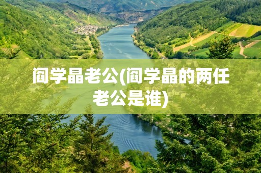 阎学晶老公(阎学晶的两任老公是谁)