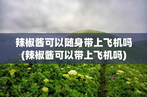辣椒酱可以随身带上飞机吗(辣椒酱可以带上飞机吗)