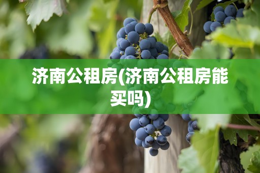 济南公租房(济南公租房能买吗)