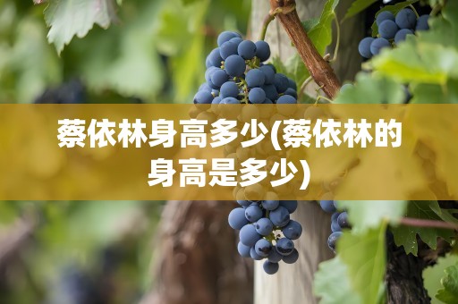 蔡依林身高多少(蔡依林的身高是多少)