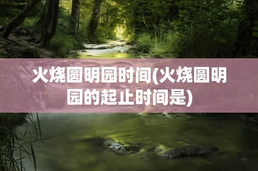 火烧圆明园时间(火烧圆明园的起止时间是)