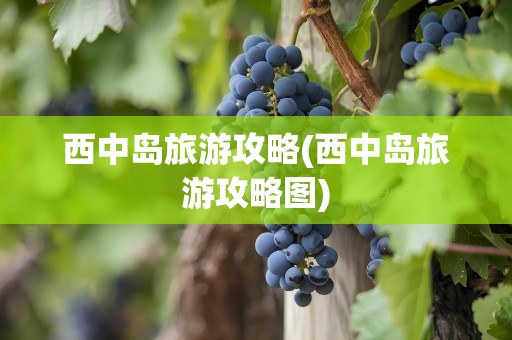 西中岛旅游攻略(西中岛旅游攻略图)