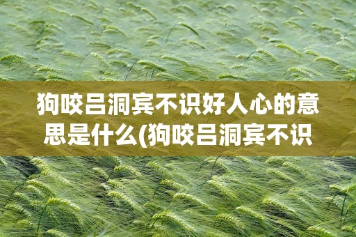 狗咬吕洞宾不识好人心的意思是什么(狗咬吕洞宾不识好人心是什么意思)