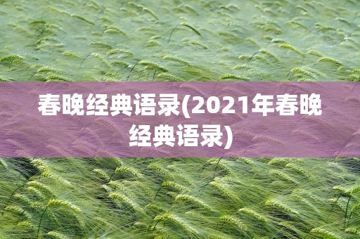 春晚经典语录(2021年春晚经典语录)