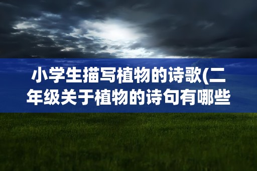 小学生描写植物的诗歌(二年级关于植物的诗句有哪些)