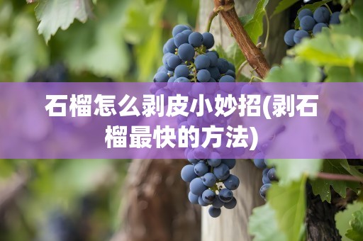 石榴怎么剥皮小妙招(剥石榴最快的方法)