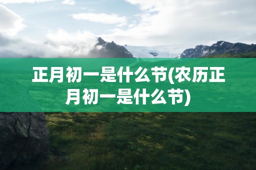 正月初一是什么节(农历正月初一是什么节)