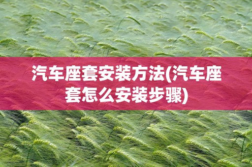 汽车座套安装方法(汽车座套怎么安装步骤)