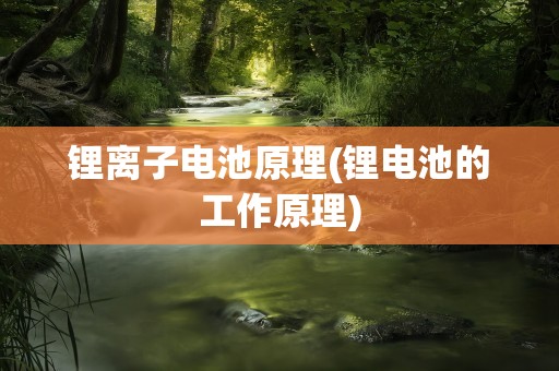 锂离子电池原理(锂电池的工作原理)