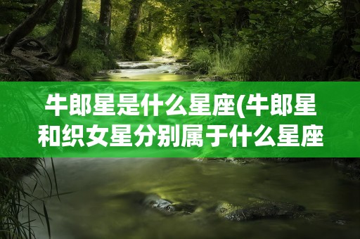牛郎星是什么星座(牛郎星和织女星分别属于什么星座)