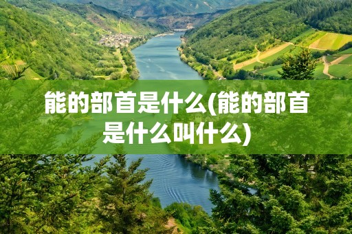 能的部首是什么(能的部首是什么叫什么)