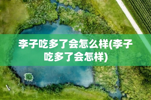 李子吃多了会怎么样(李子吃多了会怎样)