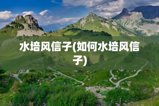 水培风信子(如何水培风信子)