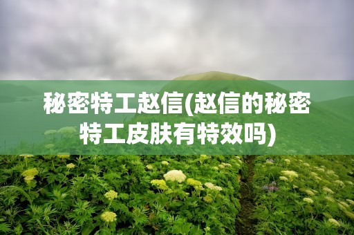 秘密特工赵信(赵信的秘密特工皮肤有特效吗)